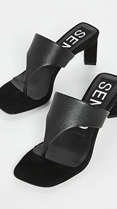 Shop Senso Liza Ii Sandals