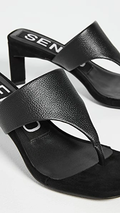 Shop Senso Liza Ii Sandals