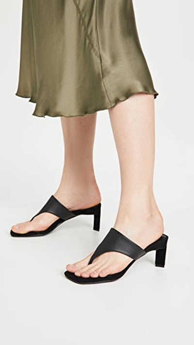 Shop Senso Liza Ii Sandals