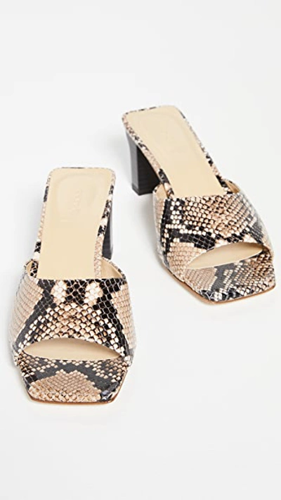 Shop Aeyde Katti Sandals In Natural
