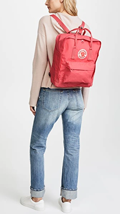 Shop Fjall Raven Kanken Backpack In Peach Pink