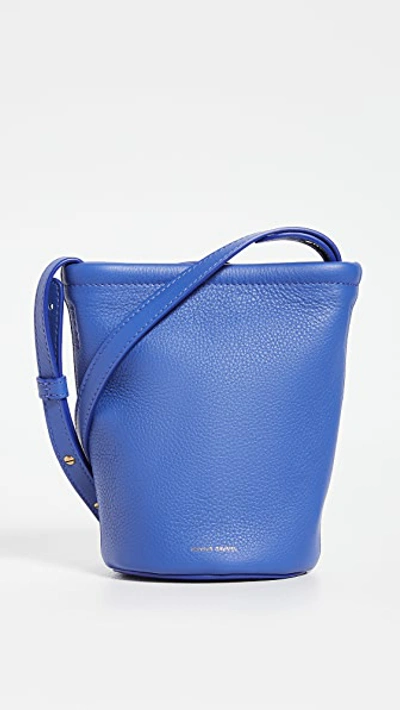 Shop Mansur Gavriel Mini Zip Bucket Bag In Elettrico