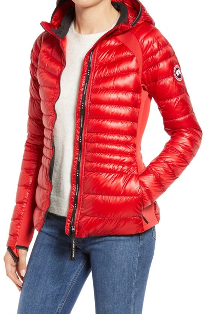 Shop Canada Goose Hybrid Lite Hoody Water Repellent 800 Fill Power Down Jacket In Red