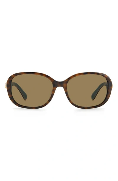 Shop Kate Spade Izabella 55mm Gradient Oval Sunglasses In Havana Turqu / Bronze