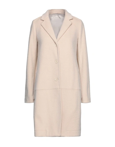 Shop High Woman Coat Beige Size 12 Polyester, Nylon, Elastane