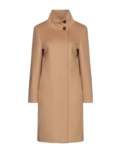 Shop Annie P . Woman Coat Camel Size 10 Virgin Wool, Polyamide, Cashmere In Beige