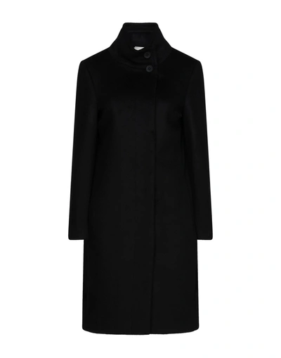 Shop Annie P . Woman Coat Black Size 8 Virgin Wool, Polyamide, Cashmere