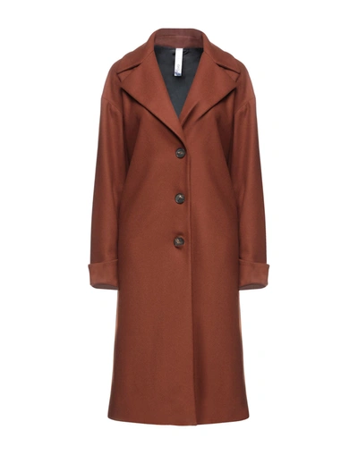 Shop Hevo Coats In Brown