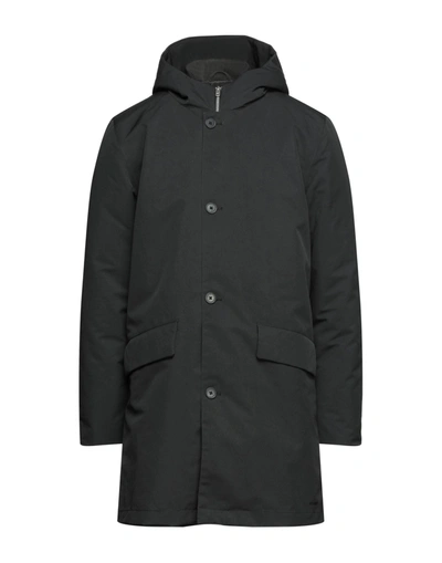 Shop Elvine Coats In Black