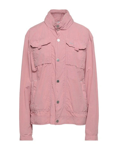 Shop Harmont & Blaine Woman Jacket Pink Size Xl Cotton, Polyamide
