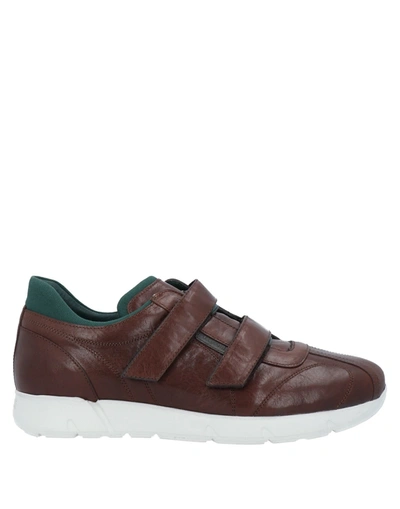 Shop A.testoni Sneakers In Cocoa