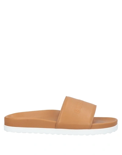 Shop Buscemi Sandals In Tan