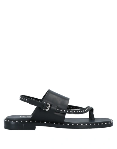 Shop Ash Woman Thong Sandal Black Size 7 Leather