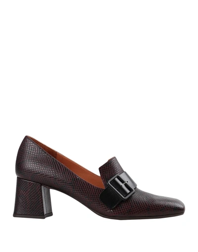 Chie Mihara Loafers In Dark Brown