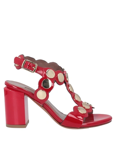 Shop Albano Sandals In Red