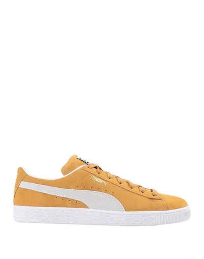 Shop Puma Suede Classic Xxi Man Sneakers Ocher Size 9 Cowhide In Yellow