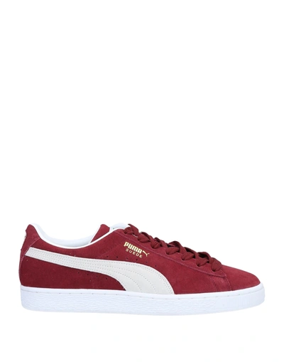 Shop Puma Suede Classic Xxi Man Sneakers Brick Red Size 12 Cowhide