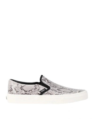 Vans Sneakers In Dove Grey | ModeSens