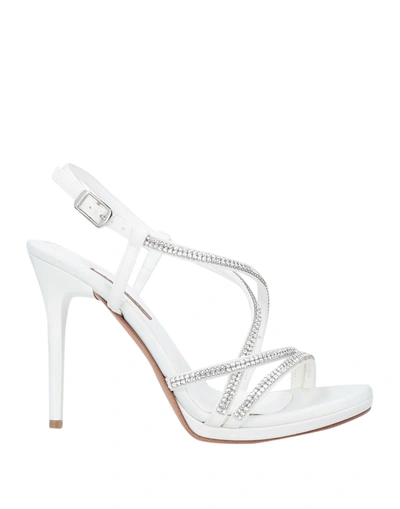 Shop Albano Sandals In White