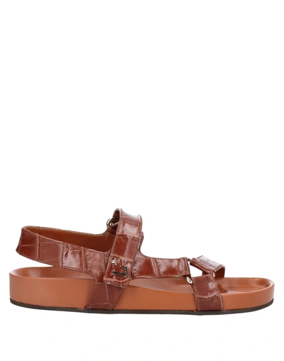 Shop L'autre Chose L' Autre Chose Woman Sandals Brown Size 6 Leather