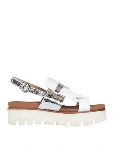 Shop Franca Sandals In White