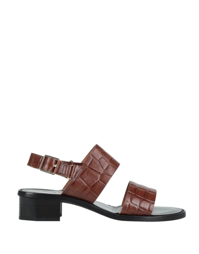 Shop Paola Ferri Woman Sandals Cocoa Size 7 Soft Leather In Brown