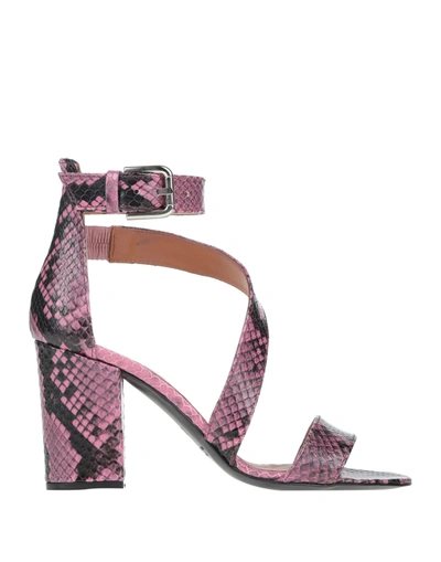 Shop Via Roma 15 Woman Sandals Pink Size 10 Soft Leather