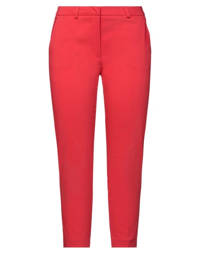 Shop Alice Miller Woman Pants Red Size 10 Cotton, Polyester, Elastane