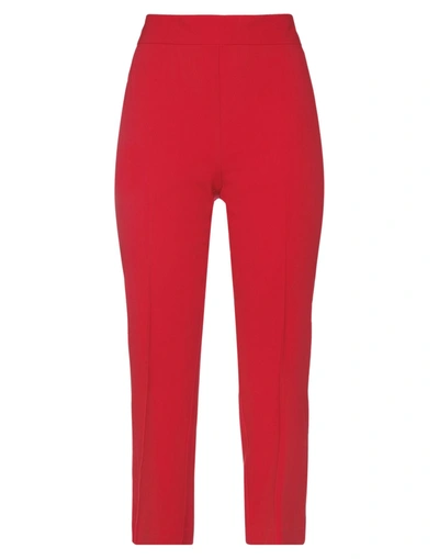 Shop Carla G. Woman Pants Red Size 6 Virgin Wool, Polyamide, Elastane