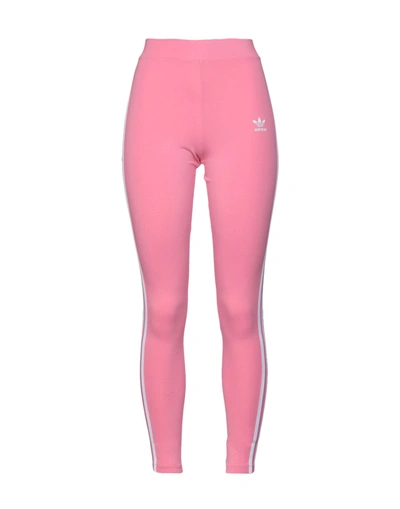 Shop Adidas Originals 3 Stripes Tight Woman Leggings Pink Size 2 Cotton, Elastane