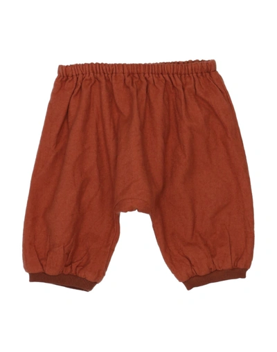 Shop Caramel Newborn Pants Rust Size 3 Cotton In Red