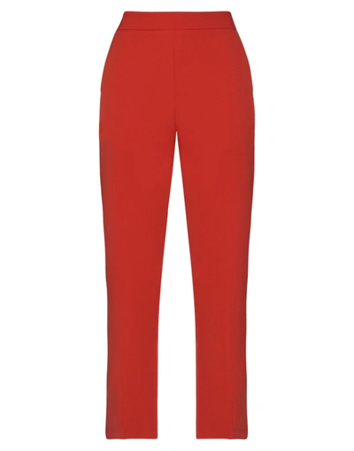 Shop Altea Woman Pants Rust Size 10 Polyester, Elastane In Red