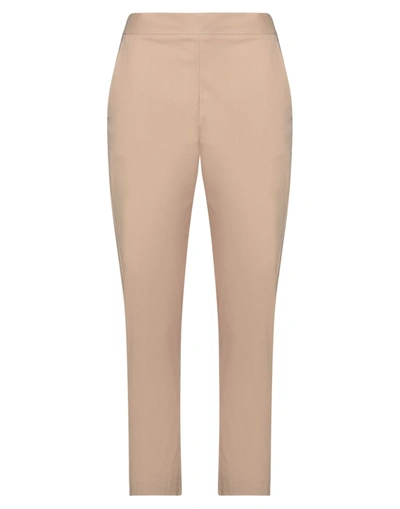 Shop Piazza Sempione Woman Pants Beige Size 8 Cotton, Elastane