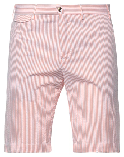 Shop Pt Torino Man Shorts & Bermuda Shorts Salmon Pink Size 32 Cotton