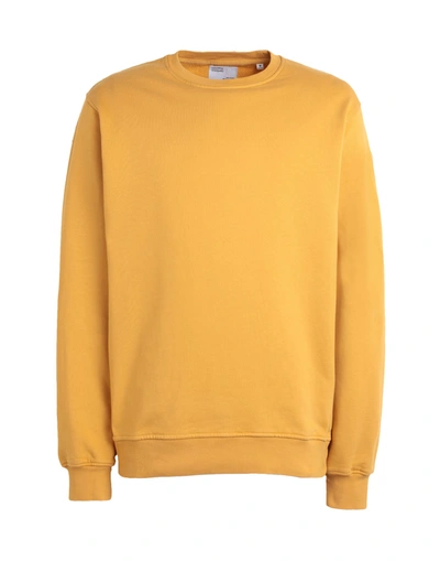 Shop Colorful Standard Man Sweatshirt Ocher Size Xl Organic Cotton In Yellow