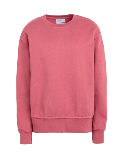 Shop Colorful Standard Woman Sweatshirt Pastel Pink Size L Organic Cotton