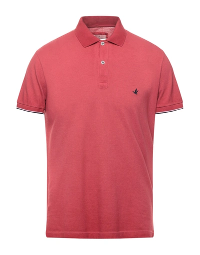 Shop Brooksfield Man Polo Shirt Brick Red Size 48 Cotton