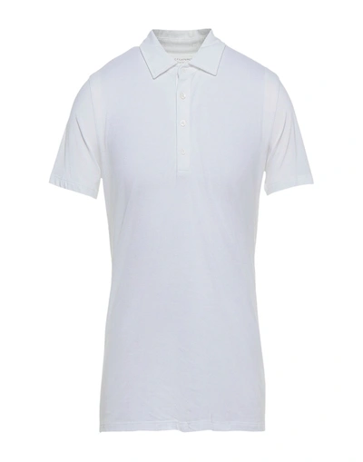Shop Majestic Filatures Man Polo Shirt White Size M Cotton