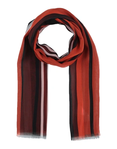 Shop Dolce & Gabbana Scarves In Black