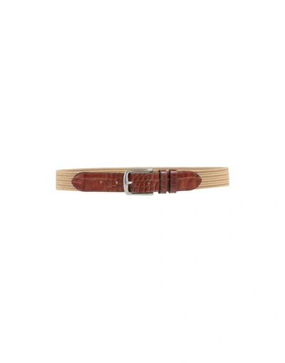 Shop Andrea D'amico Belts In Brown