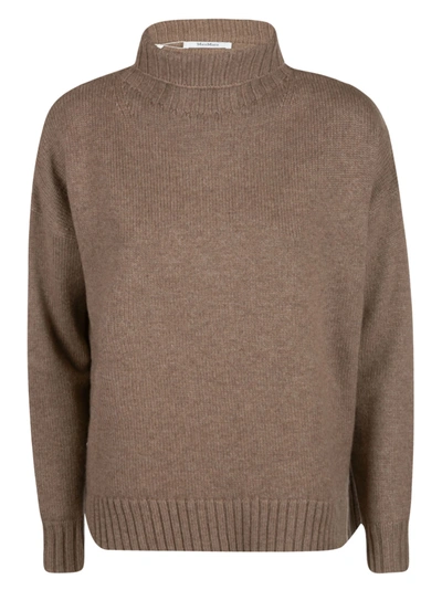 Shop Max Mara Turtleneck Sweater In Brown