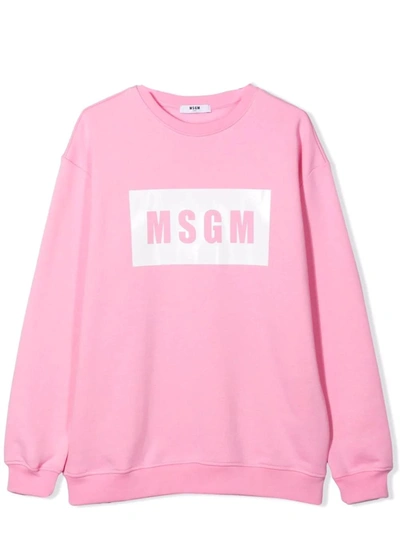 Shop Msgm Sweatshirt With Print In Pink