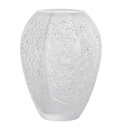 Shop Lalique Medium Crystal Sakura Vase (14cm) In Clear