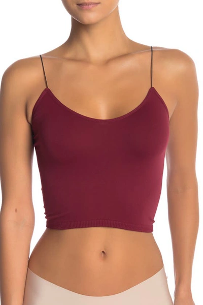 Shop Free People Intimately Fp Crop Top In Wine