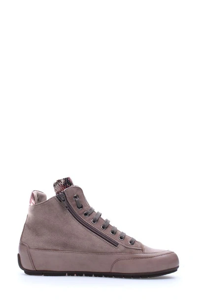 Candice Cooper Lucia High Top Sneaker In Stone/ Tortora/ Beige | ModeSens
