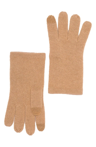 Shop Phenix Cashmere Knit Gloves In 251cam