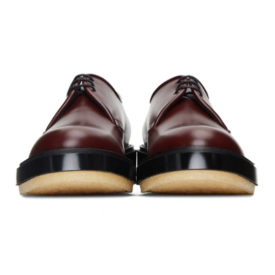 Shop Adieu Burgundy Type 54c Derbys In Borde/blkcr