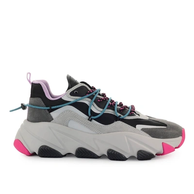 Shop Ash Extra Grey Black Lilac Sneaker In Multicolor