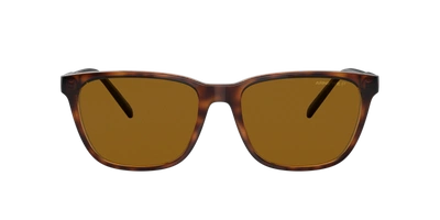 Shop Arnette Man Sunglasses An4291 Cortex In Brown Polarized