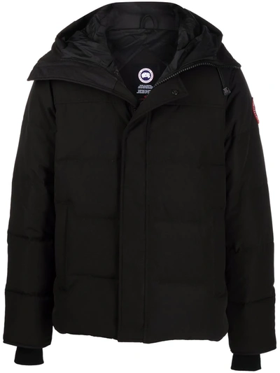 Shop Canada Goose Logo-patch Hooded Padded Short Jacket In 黑色